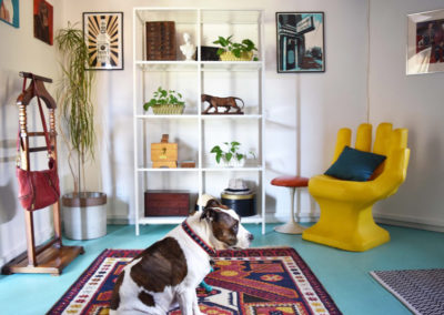 Brandi's dog sitting in a dressing room designed by Brand*Eye Home, with a yellow hand chair and white shelving unit featuring various decorations