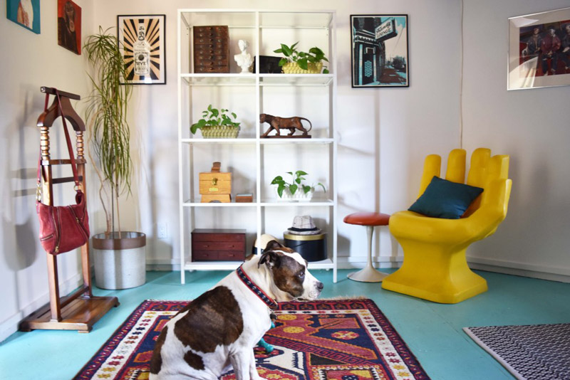 Brandi's dog sitting in a dressing room designed by Brand*Eye Home, with a yellow hand chair and white shelving unit featuring various decorations