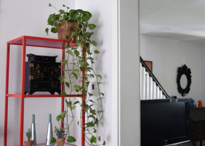 a red metal shelf unit with vine plant hanging over its edge in a dining area designed by Brand*Eye Home