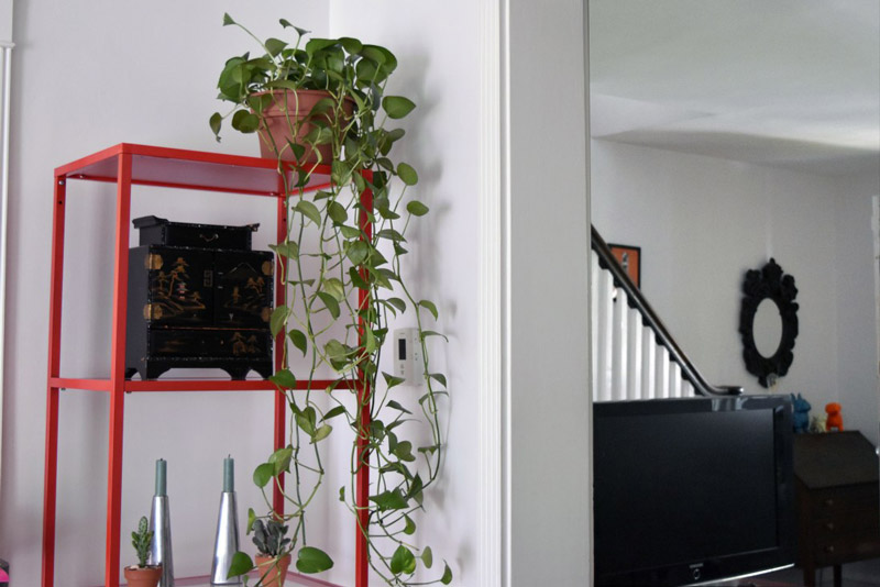 a red metal shelf unit with vine plant hanging over its edge in a dining area designed by Brand*Eye Home