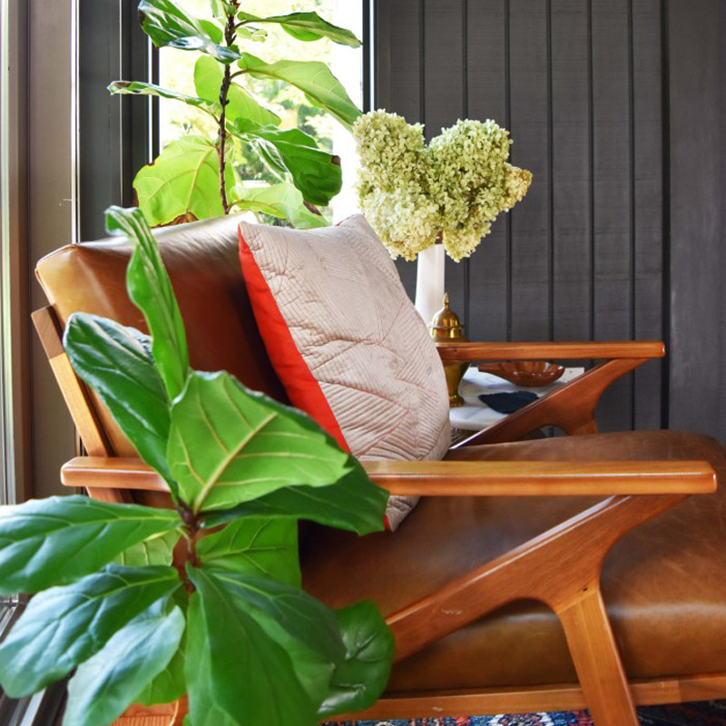 side view of a leather-cushioned midcentury modern chair next to a potted plant in a reading nook designed by Brand*Eye Home