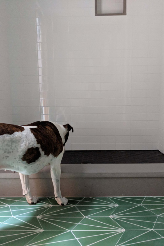 Brandi's dog Winnie checks out the tile in a bathroom designed by Brand*Eye Home